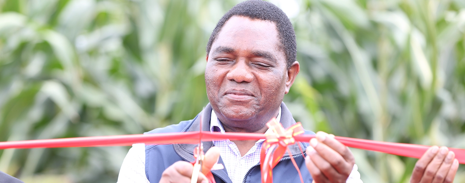 cutting the ribbon