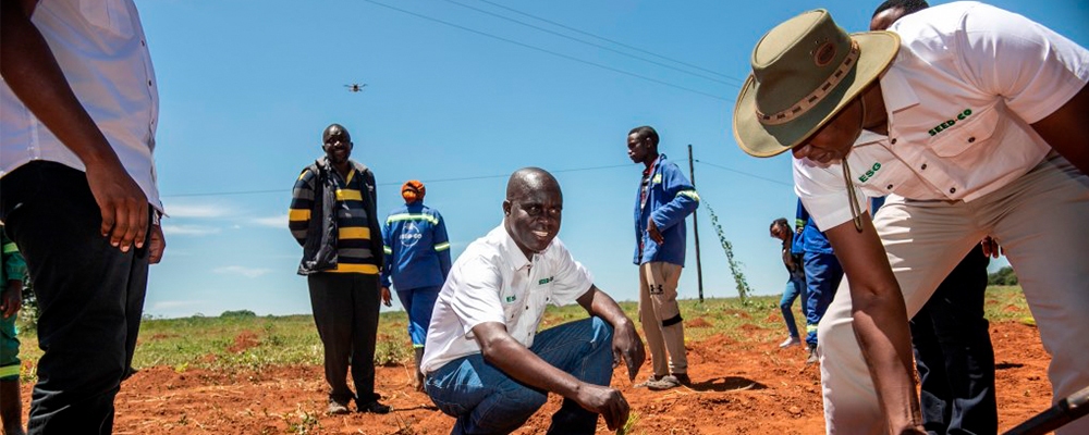 men in field