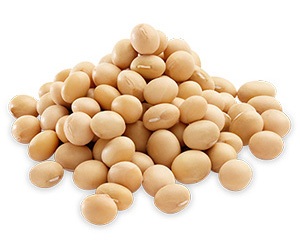 soya drop down